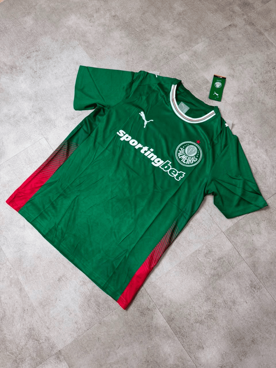 Palmeiras 26/27 home